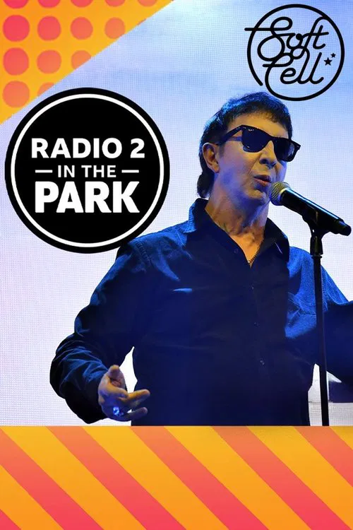 Soft Cell: Radio 2 in the Park movie poster