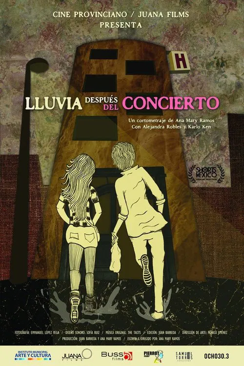 Rain After the Concert movie poster