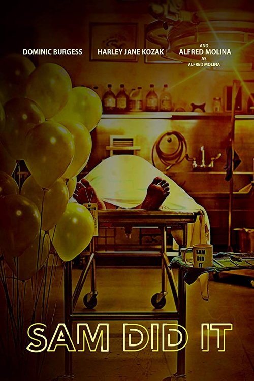 Sam Did It movie poster