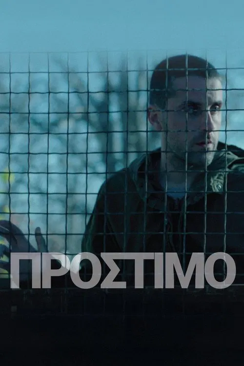 Amercement movie poster