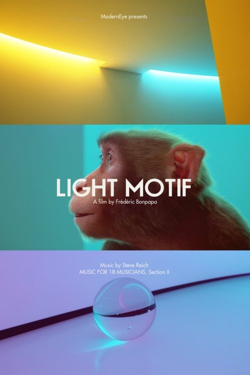 Light Motif movie poster