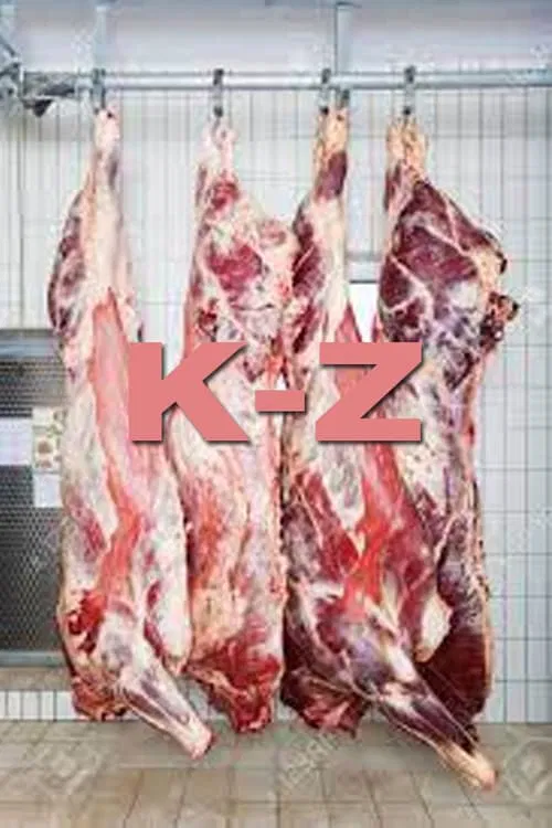 K-Z movie poster