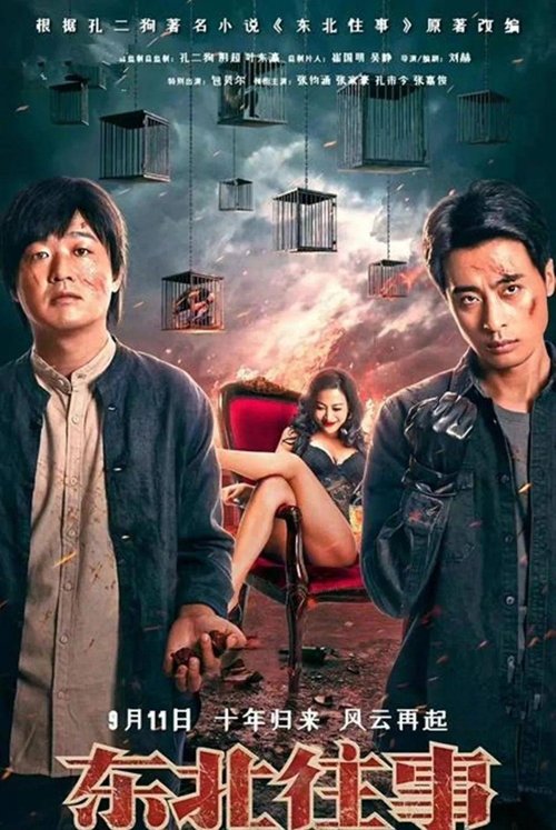东北往事之我叫赵红兵 movie poster