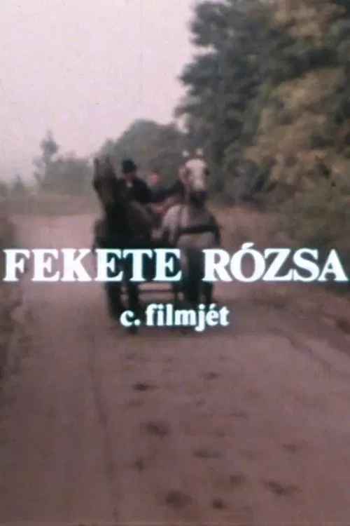 Fekete rózsa movie poster