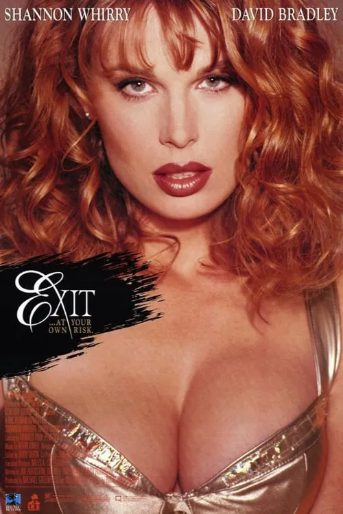 Exit movie poster