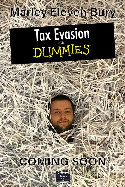 Tax Evasion for Dummies movie poster