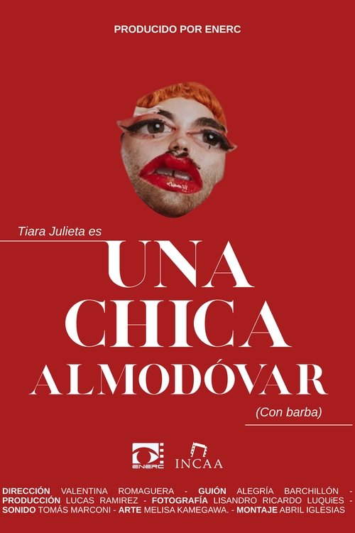 Una chica Almodóvar (con barba) movie poster