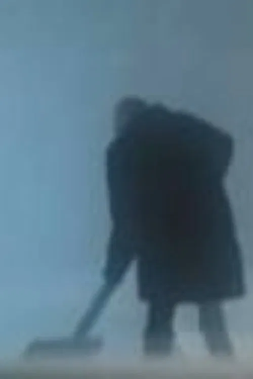 Land Surveyor movie poster