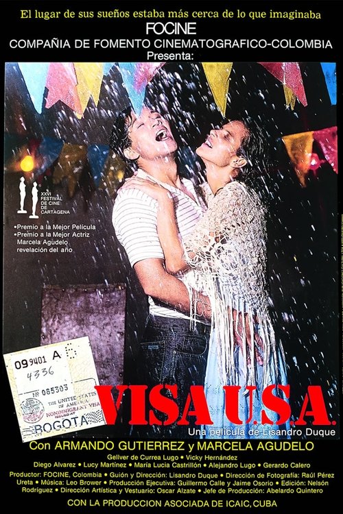 Visa USA movie poster