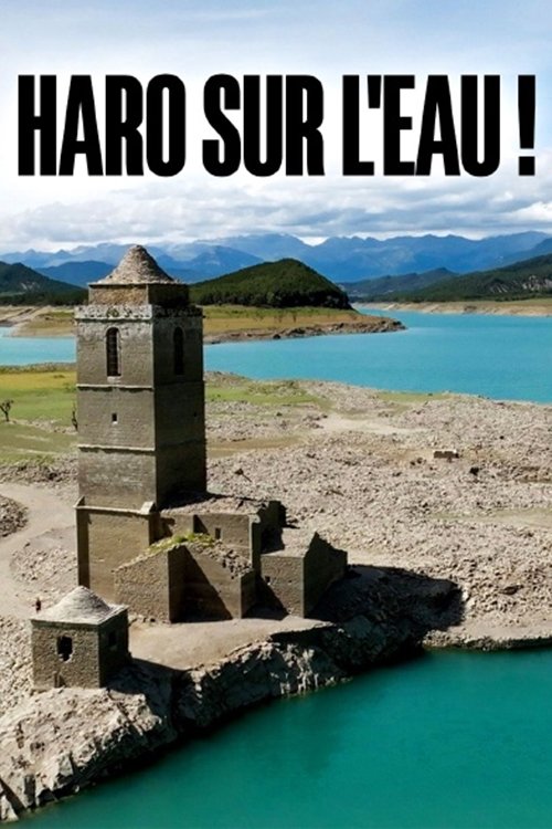 Haro auf das Wasser! Flüsse in Not movie poster