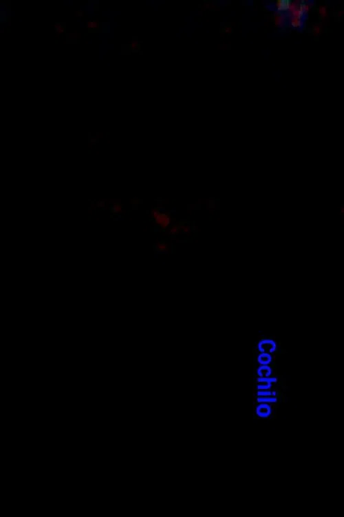 Cochilo movie poster