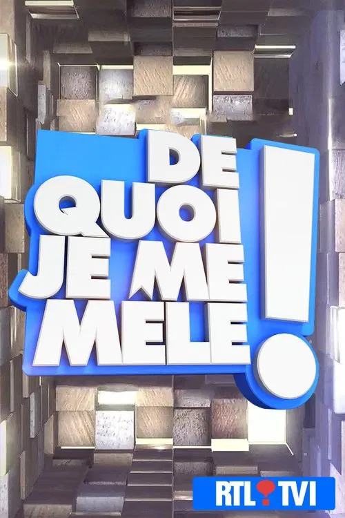 De quoi je me mêle ! tv show poster