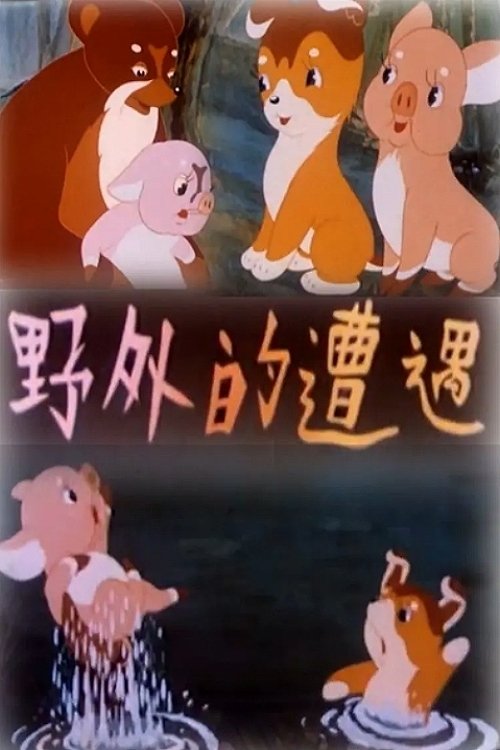 Wild Encounters movie poster