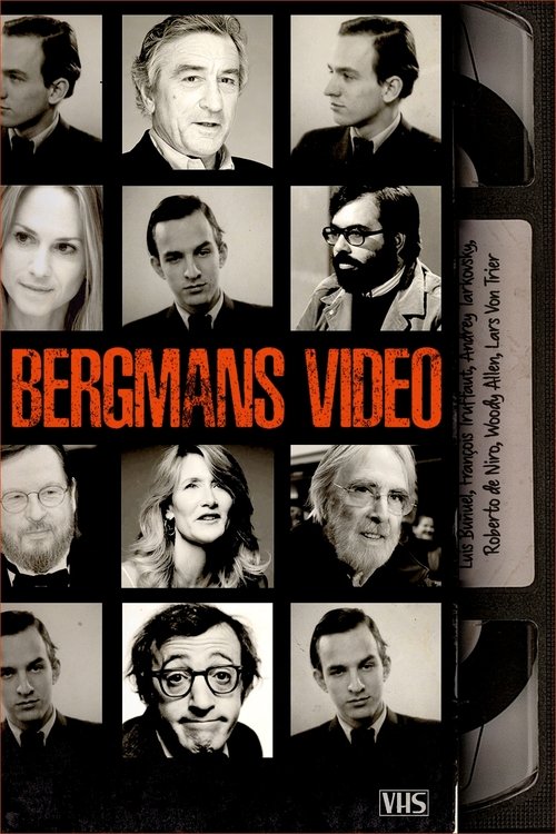 Bergmans video movie poster