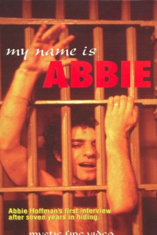 My Name is Abbie movie poster