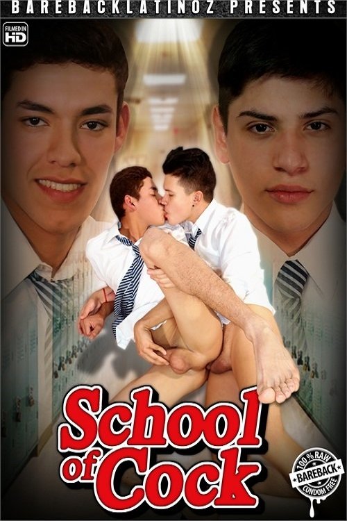 School of Cock movie poster