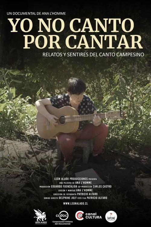 Yo no canto por cantar movie poster