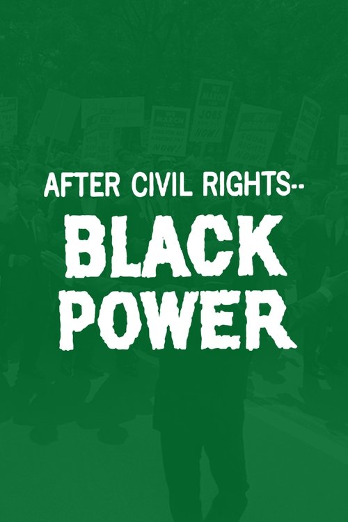 After Civil Rights... Black Power movie poster