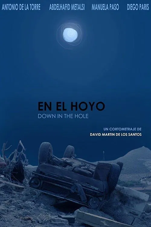 Down  in the Hole movie poster