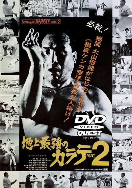The Strongest Karate Part 2 movie poster