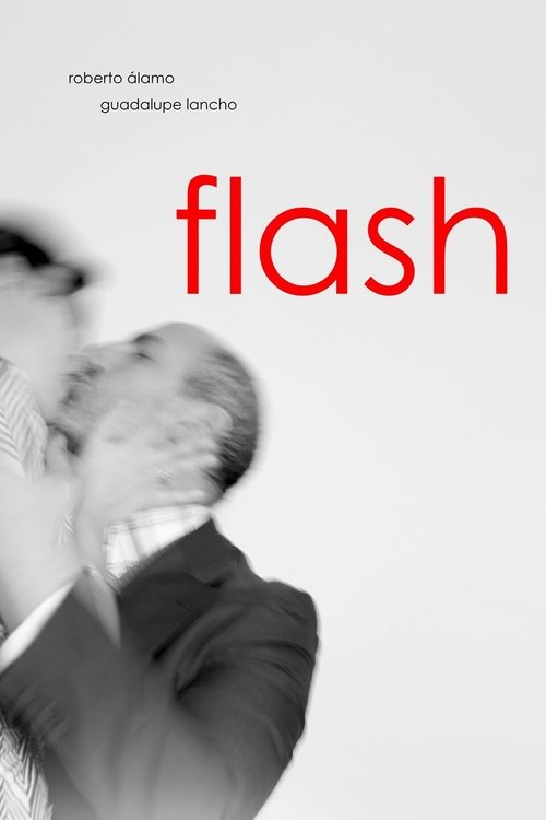 Flash movie poster