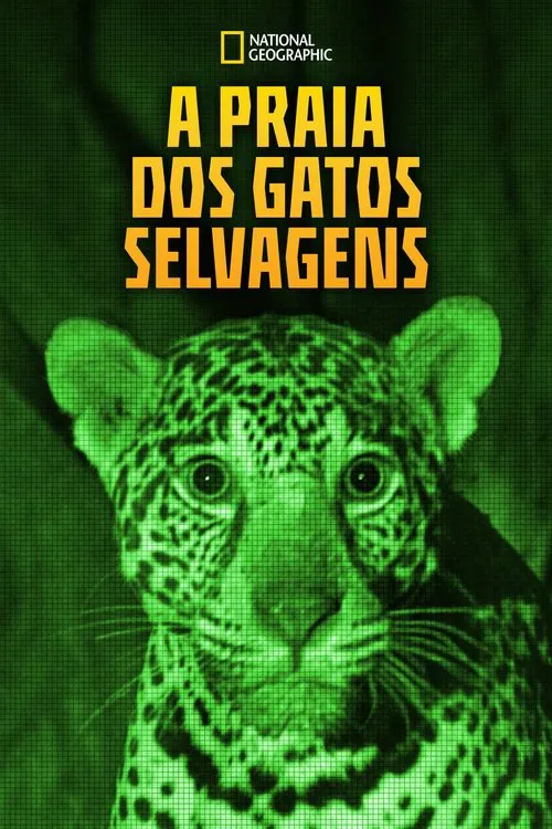 Poster do filme A Praia dos Gatos Selvagens