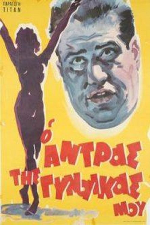 My Wife's Husband movie poster