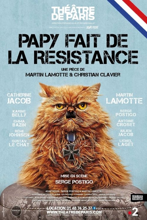 Papy fait de la résistance movie poster