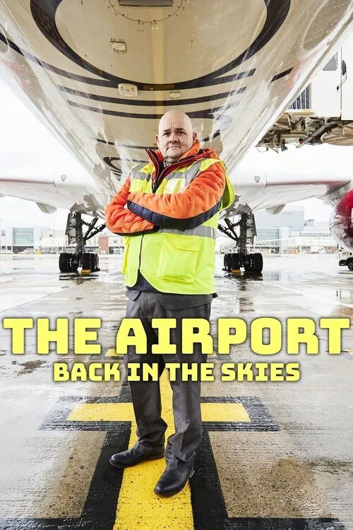The Airport: Back in the Skies tv show poster