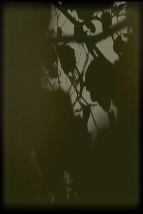 Poster do filme B#O 000001