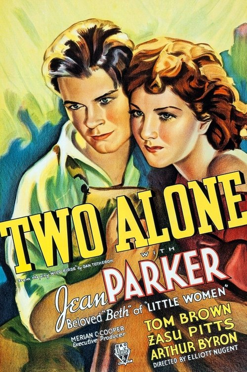 Two Alone movie poster