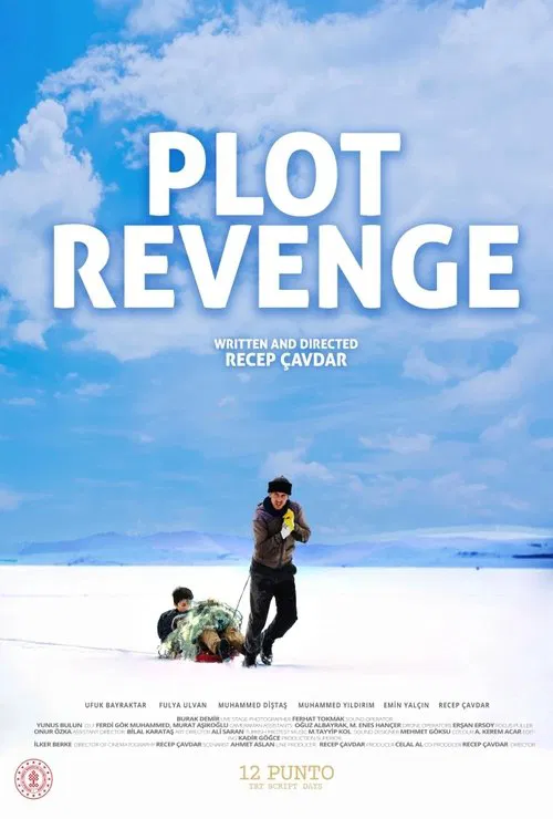 Poster do filme Plot Revenge