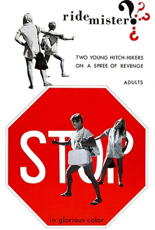 Ride, Mister? movie poster