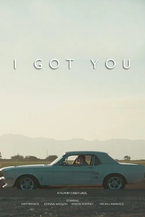 Poster do filme I Got You