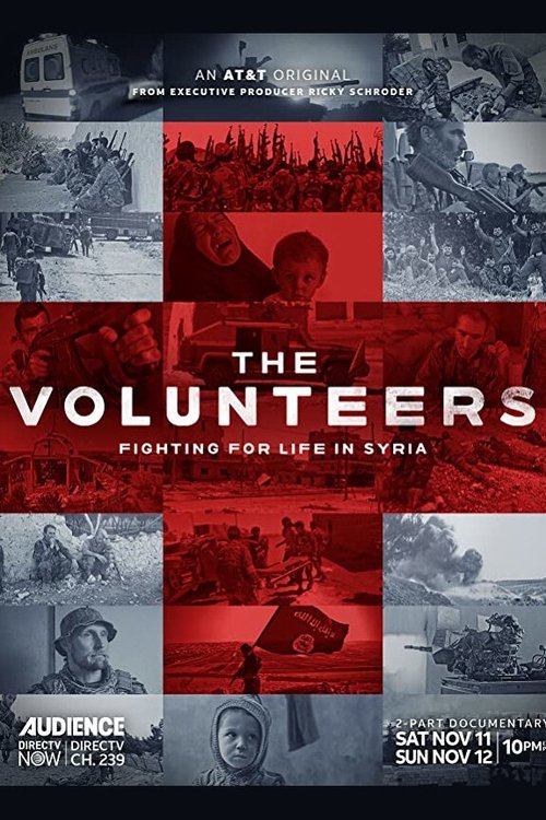 Poster do filme The Volunteers