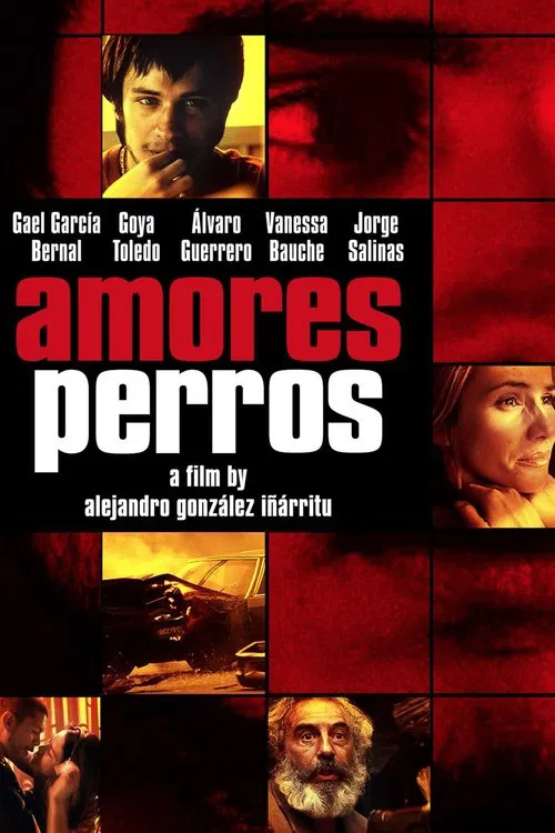 Amores Perros movie poster