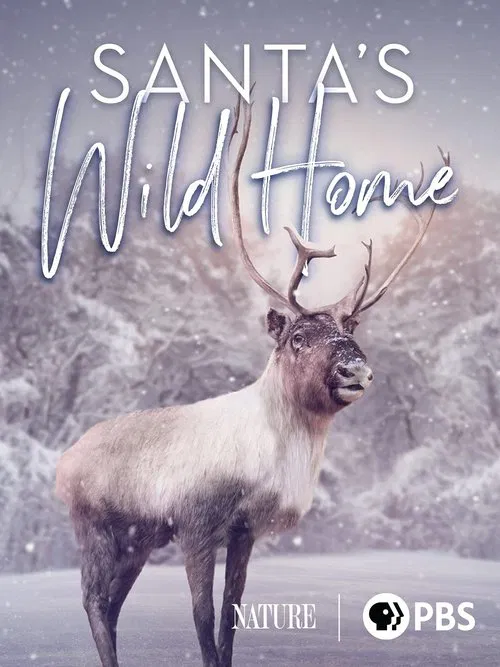 Santa's Wild Home movie poster