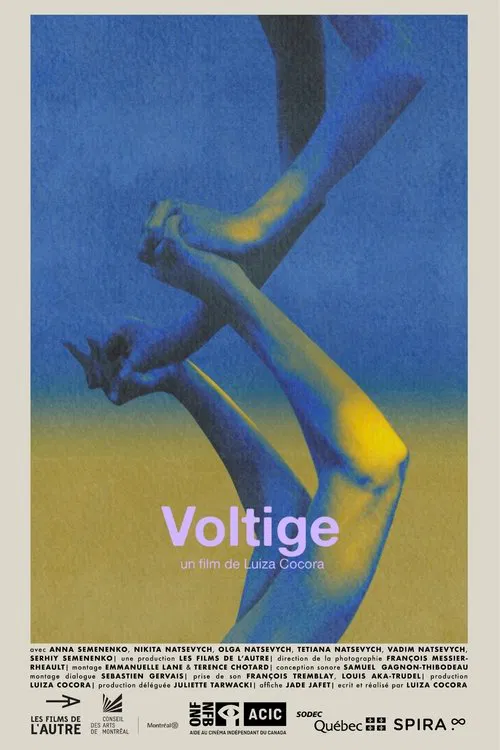 Poster do filme Voltige