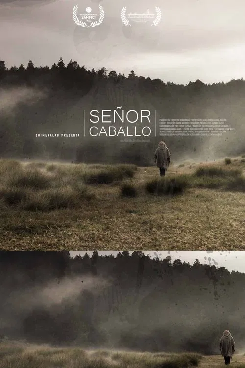 Señor Caballo movie poster