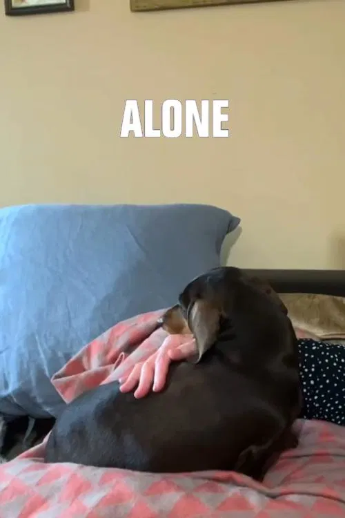 Alone movie poster