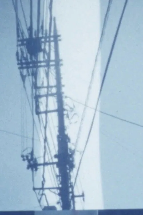 In the Spring Season movie poster