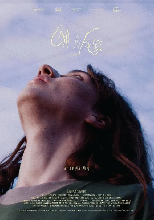Call it Fate movie poster