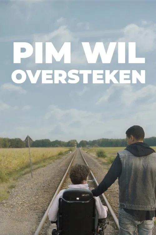 Pim wil oversteken movie poster