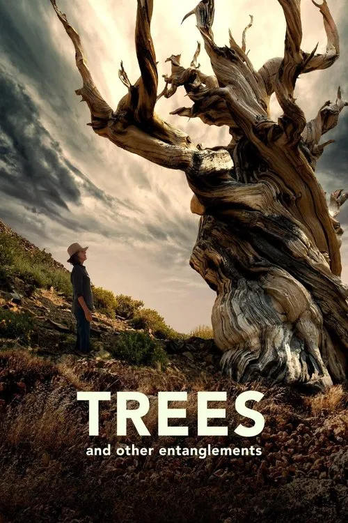 Trees and Other Entanglements movie poster