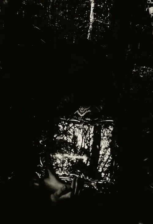 Poster do filme Sympathetic Bodies