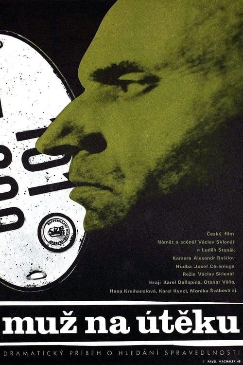 A Man on the Run movie poster