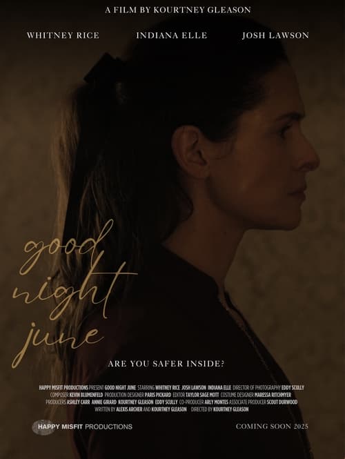 Good Night June movie poster