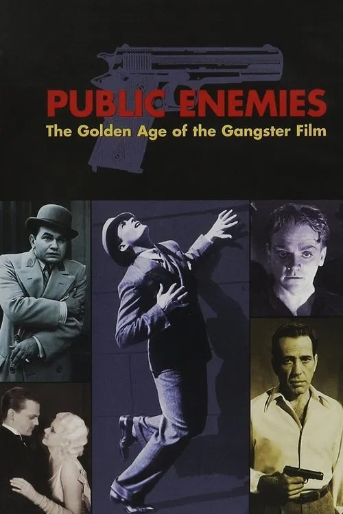 Public Enemies: The Golden Age of the Gangster Film movie poster