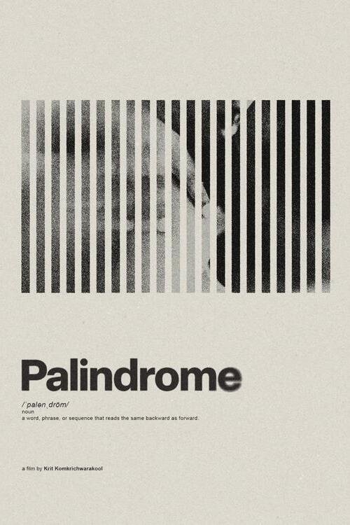 Palindrome movie poster