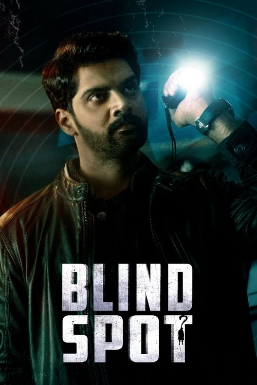 Blind Spot movie poster